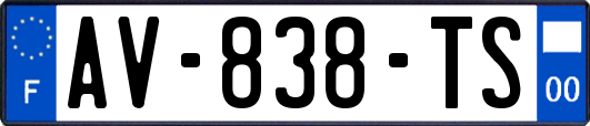 AV-838-TS