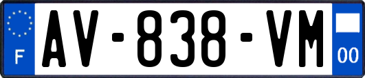 AV-838-VM