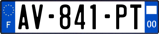 AV-841-PT