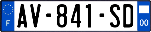 AV-841-SD