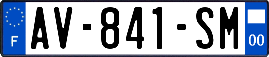 AV-841-SM