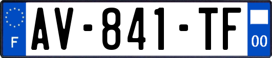 AV-841-TF