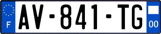 AV-841-TG