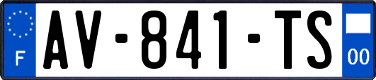 AV-841-TS
