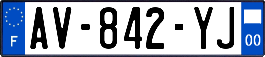 AV-842-YJ