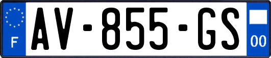 AV-855-GS