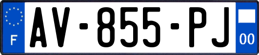 AV-855-PJ