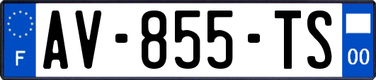 AV-855-TS
