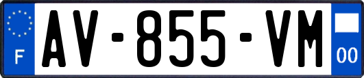 AV-855-VM