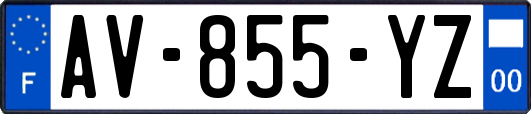 AV-855-YZ