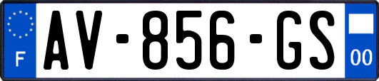 AV-856-GS