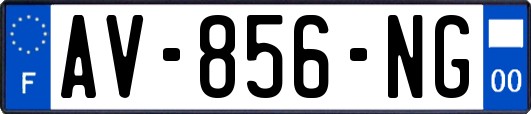 AV-856-NG