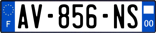 AV-856-NS