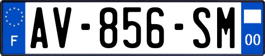 AV-856-SM