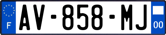 AV-858-MJ