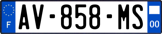 AV-858-MS