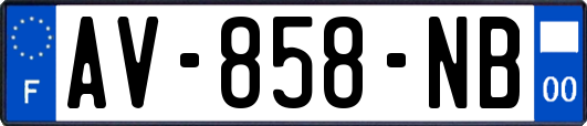 AV-858-NB