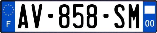 AV-858-SM