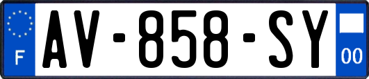 AV-858-SY