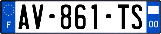 AV-861-TS