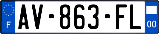 AV-863-FL