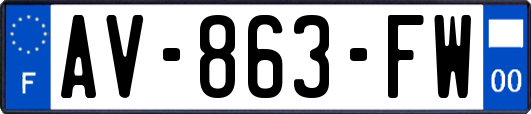 AV-863-FW