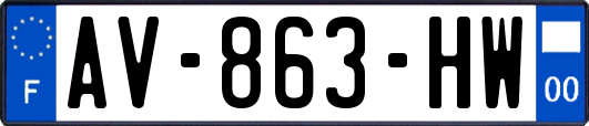 AV-863-HW
