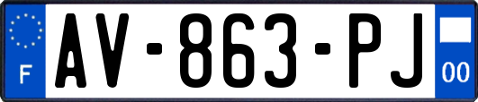 AV-863-PJ