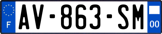 AV-863-SM