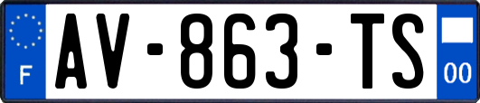 AV-863-TS