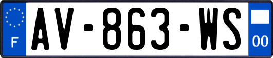 AV-863-WS