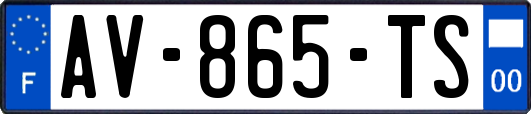 AV-865-TS