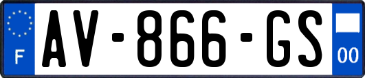 AV-866-GS