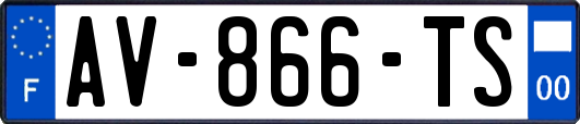 AV-866-TS