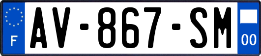 AV-867-SM