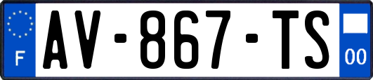 AV-867-TS