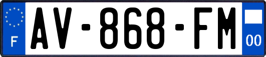 AV-868-FM