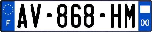 AV-868-HM