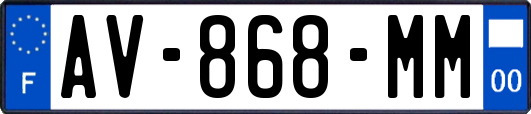 AV-868-MM