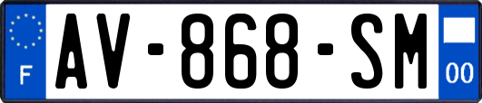 AV-868-SM