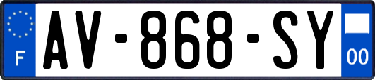 AV-868-SY