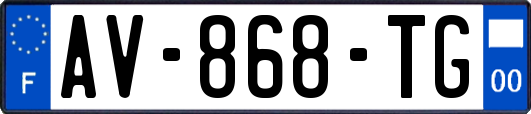 AV-868-TG