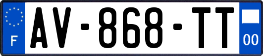 AV-868-TT