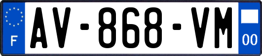 AV-868-VM