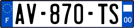 AV-870-TS