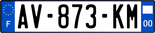 AV-873-KM