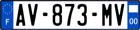 AV-873-MV