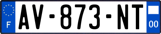 AV-873-NT