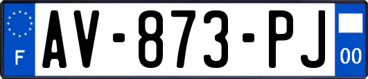 AV-873-PJ