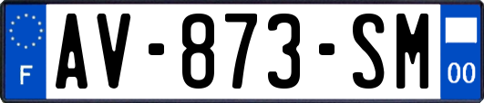 AV-873-SM